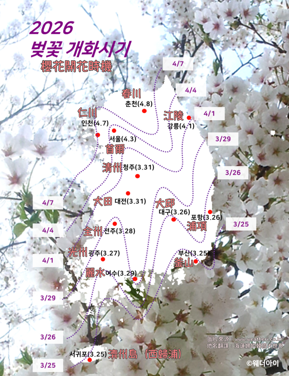 大邱旅行,大邱旅遊,大邱櫻花,大邱自由行,大邱遊／宿,慶州櫻花,櫻花,河東櫻花,釜山,釜山旅行,釜山旅遊,釜山櫻花,釜山自由行,釜山賞櫻,釜山賞櫻攻略,釜山賞櫻時間,釜山賞櫻月份,釜山賞櫻秘境,釜山賞櫻花,釜山遊／宿,釜山鎮海櫻花,鎮海櫻花,韓國,韓國旅行,韓國旅遊,韓國櫻花,韓國綜合,韓國自由行,韓國賞櫻花 @Helena's Blog