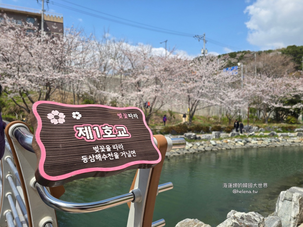 櫻花,釜山,釜山旅行,釜山旅遊,釜山櫻花,釜山自由行,釜山賞櫻,釜山賞櫻住宿,釜山賞櫻攻略,釜山賞櫻時間,釜山賞櫻月份,釜山賞櫻秘境,釜山賞櫻花,釜山遊／宿,釜山鎮海櫻花,韓國,韓國旅行,韓國旅遊,韓國綜合,韓國自由行,韓國賞櫻花 @Helena's Blog