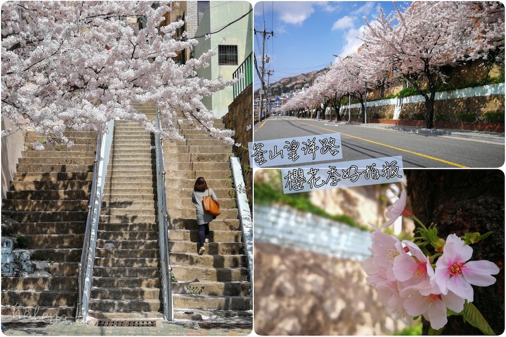 公園,景點,漢江,韓國,首爾 @Helena's Blog