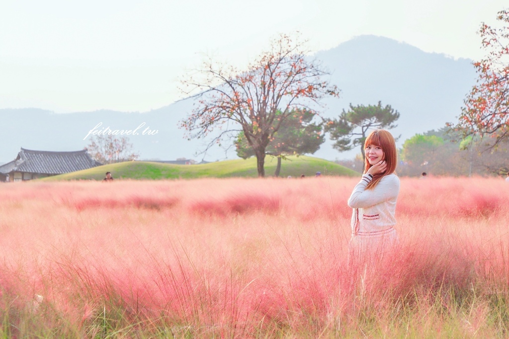大邱,大邱實用資訊,大邱旅行,大邱旅遊,大邱自由行,大邱遊／宿,慶州,楓葉,釜山,釜山實用資訊,釜山旅行,釜山旅遊,釜山自由行,釜山遊／宿,韓國,韓國實用資訊,韓國旅行,韓國旅遊,韓國自由行,韓國賞楓葉 @Helena's Blog