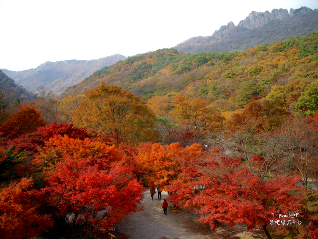 傳統韓屋,束草旅行,束草旅遊,束草自由行,江原道遊／宿,江陵旅行,江陵旅遊,江陵自由行,滑雪,賞楓,雪嶽山賞楓,韓國旅行,韓國旅遊,韓國自由行,首爾旅行,首爾旅遊,首爾自由行,首爾遊／宿,鬼怪 @Helena's Blog