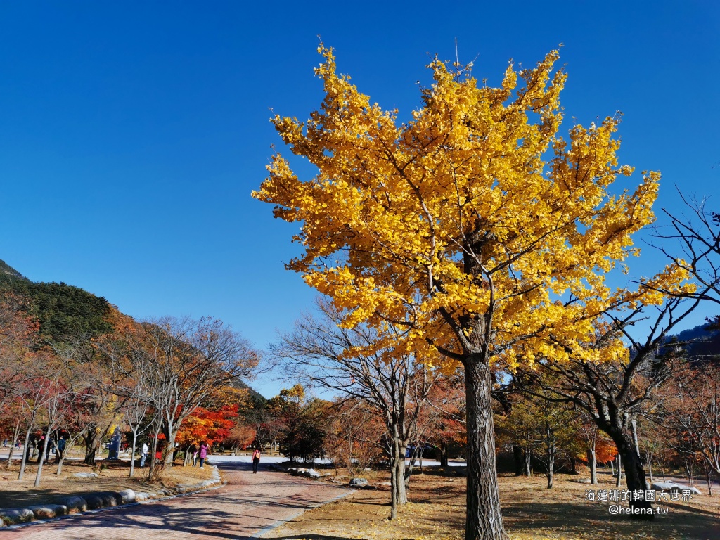 傳統韓屋,束草旅行,束草旅遊,束草自由行,江原道遊／宿,江陵旅行,江陵旅遊,江陵自由行,滑雪,賞楓,雪嶽山賞楓,韓國旅行,韓國旅遊,韓國自由行,首爾旅行,首爾旅遊,首爾自由行,首爾遊／宿,鬼怪 @Helena's Blog