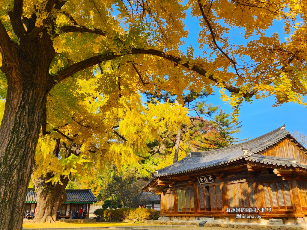 大邱,大邱交通相關,大邱實用資訊,大邱旅行,大邱旅遊,大邱自由行,大邱遊／宿,慶州,慶州旅行,慶州旅遊,慶州自由行,慶州遊／宿,查詢班次,浦項,浦項旅行,浦項旅遊,浦項自由行,浦項遊／宿,火車,釜山,釜山交通相關,釜山實用資訊,釜山旅行,釜山旅遊,釜山自由行,釜山遊／宿,長途巴士,韓國,韓國交通相關,韓國實用資訊,韓國旅行,韓國旅遊,韓國火車,韓國自由行,韓國高鐵,預訂車票,高鐵 @Helena's Blog