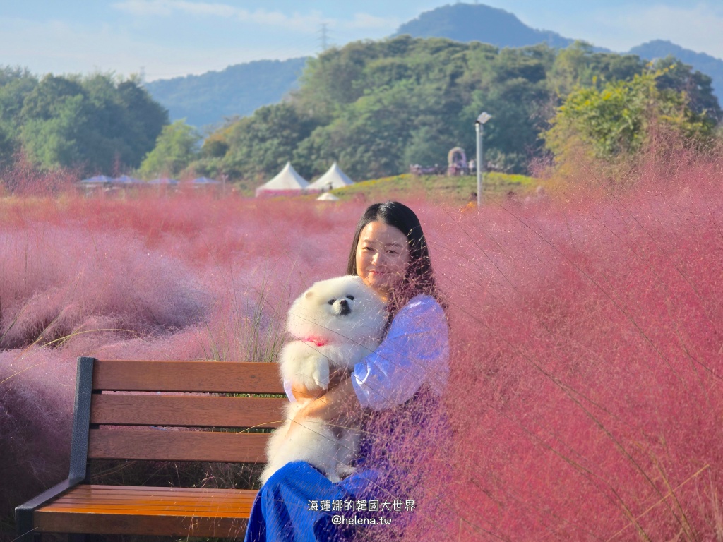 京畿道旅行,京畿道旅遊,京畿道自由行,京畿道遊／宿,季節限定,楊州遊／宿,秋季限定,韓國旅行,韓國旅遊,韓國自由行,首爾旅行,首爾旅遊,首爾自由行,首爾遊／宿,首爾順遊 @Helena's Blog