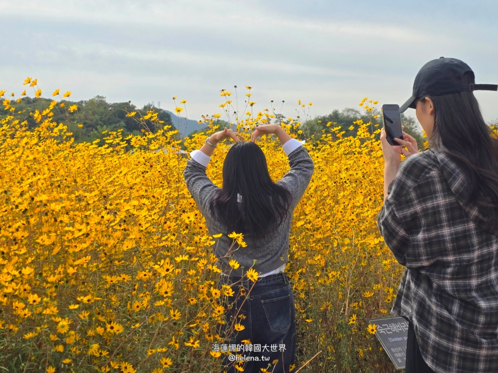 京畿道旅行,京畿道旅遊,京畿道自由行,京畿道遊／宿,季節限定,楊州遊／宿,秋季限定,韓國旅行,韓國旅遊,韓國自由行,首爾旅行,首爾旅遊,首爾自由行,首爾遊／宿,首爾順遊 @Helena's Blog