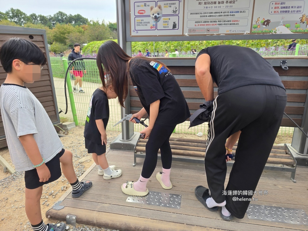 京畿道旅行,京畿道旅遊,京畿道自由行,京畿道遊／宿,季節限定,楊州遊／宿,秋季限定,韓國旅行,韓國旅遊,韓國自由行,首爾旅行,首爾旅遊,首爾自由行,首爾遊／宿,首爾順遊 @Helena's Blog