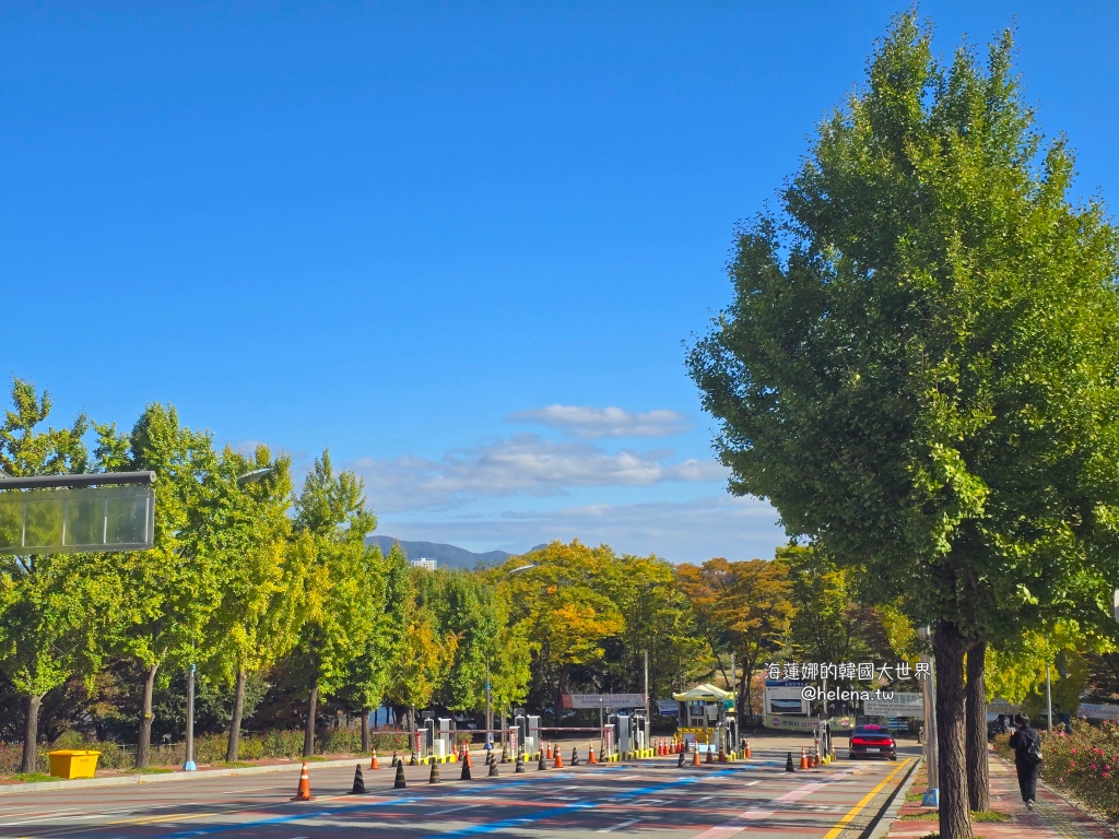 京畿道旅行,京畿道旅遊,京畿道自由行,京畿道遊／宿,季節限定,楓葉,河南遊／宿,粉紅芒草,粉黛亂子草,銀杏,韓國旅行,韓國旅遊,韓國自由行,首爾旅行,首爾旅遊,首爾自由行,首爾遊／宿,首爾順遊 @Helena's Blog