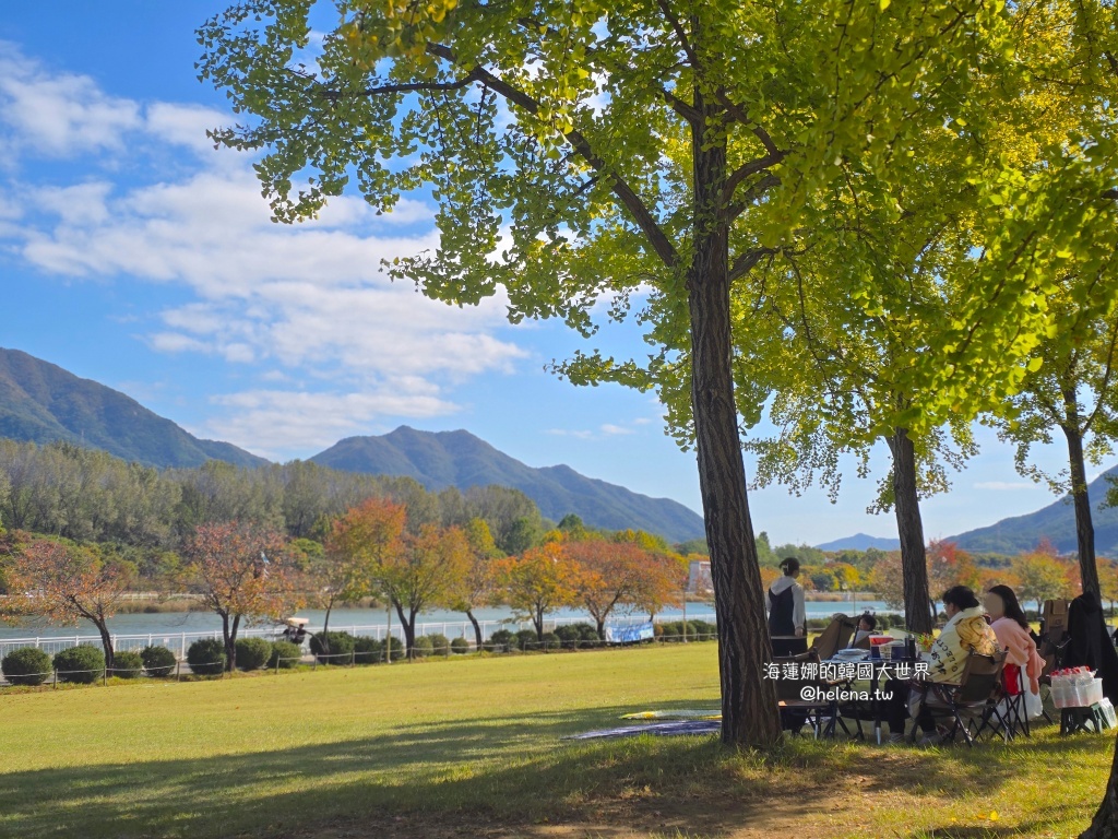 京畿道旅行,京畿道旅遊,京畿道自由行,京畿道遊／宿,季節限定,楓葉,河南遊／宿,粉紅芒草,粉黛亂子草,銀杏,韓國旅行,韓國旅遊,韓國自由行,首爾旅行,首爾旅遊,首爾自由行,首爾遊／宿,首爾順遊 @Helena's Blog