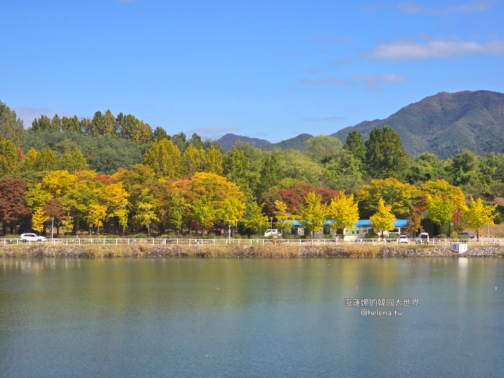 京畿道旅行,京畿道旅遊,京畿道自由行,京畿道遊／宿,季節限定,楓葉,河南遊／宿,粉紅芒草,粉黛亂子草,銀杏,韓國旅行,韓國旅遊,韓國自由行,首爾旅行,首爾旅遊,首爾自由行,首爾遊／宿,首爾順遊 @Helena's Blog