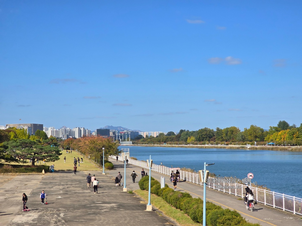 京畿道旅行,京畿道旅遊,京畿道自由行,京畿道遊／宿,季節限定,楓葉,河南遊／宿,粉紅芒草,粉黛亂子草,銀杏,韓國旅行,韓國旅遊,韓國自由行,首爾旅行,首爾旅遊,首爾自由行,首爾遊／宿,首爾順遊 @Helena's Blog