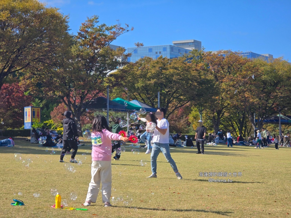 京畿道旅行,京畿道旅遊,京畿道自由行,京畿道遊／宿,季節限定,楓葉,河南遊／宿,粉紅芒草,粉黛亂子草,銀杏,韓國旅行,韓國旅遊,韓國自由行,首爾旅行,首爾旅遊,首爾自由行,首爾遊／宿,首爾順遊 @Helena's Blog