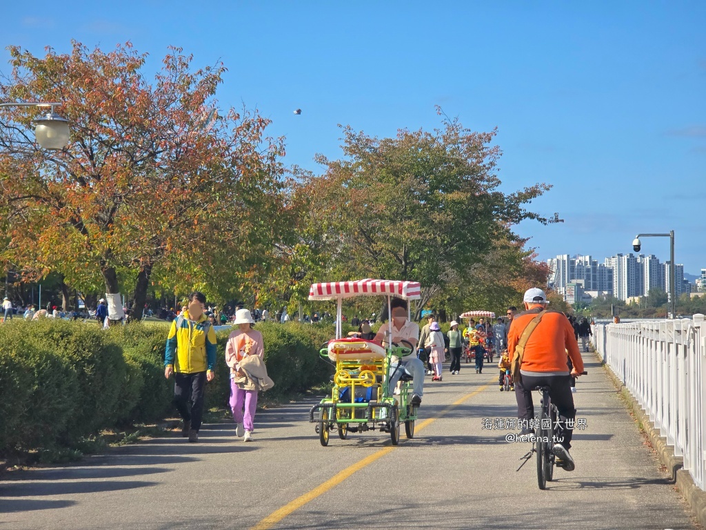 京畿道旅行,京畿道旅遊,京畿道自由行,京畿道遊／宿,季節限定,楓葉,河南遊／宿,粉紅芒草,粉黛亂子草,銀杏,韓國旅行,韓國旅遊,韓國自由行,首爾旅行,首爾旅遊,首爾自由行,首爾遊／宿,首爾順遊 @Helena's Blog