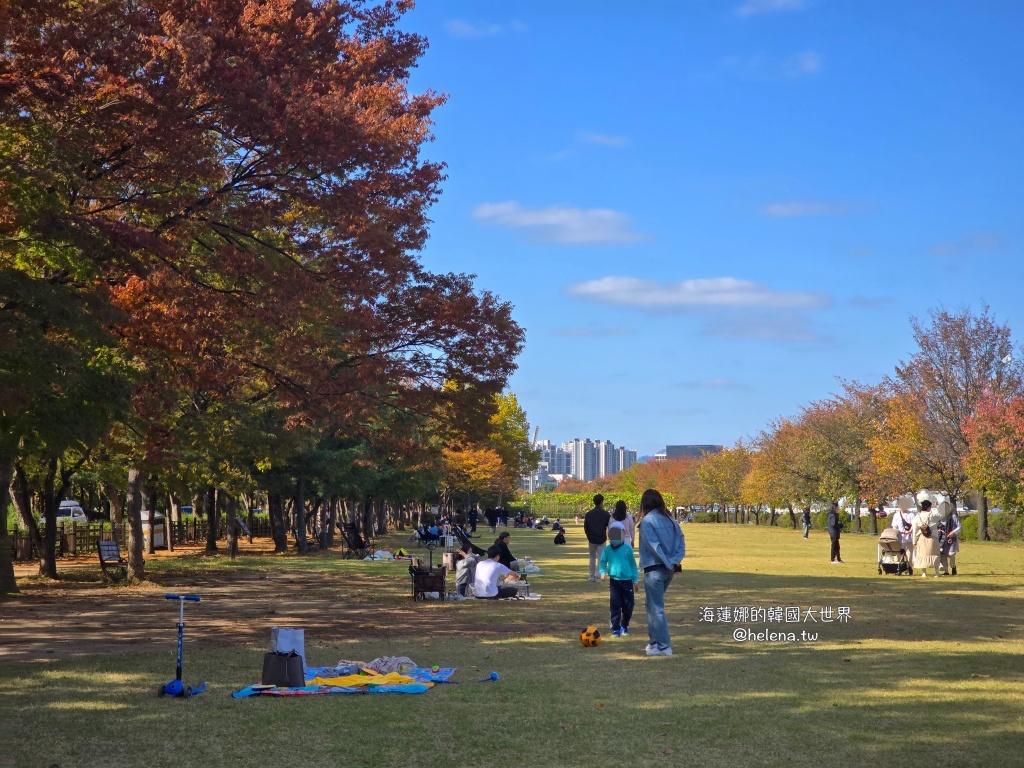 京畿道旅行,京畿道旅遊,京畿道自由行,京畿道遊／宿,季節限定,楓葉,河南遊／宿,粉紅芒草,粉黛亂子草,銀杏,韓國旅行,韓國旅遊,韓國自由行,首爾旅行,首爾旅遊,首爾自由行,首爾遊／宿,首爾順遊 @Helena's Blog