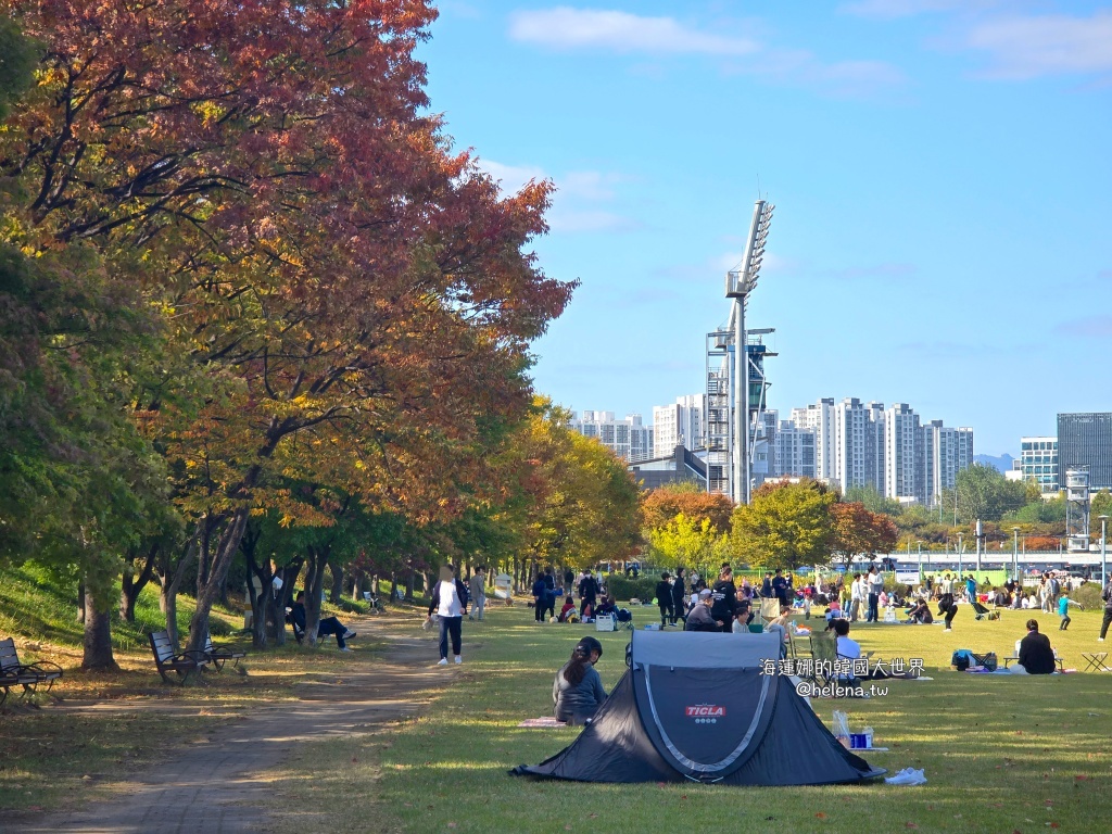 京畿道旅行,京畿道旅遊,京畿道自由行,京畿道遊／宿,季節限定,楓葉,河南遊／宿,粉紅芒草,粉黛亂子草,銀杏,韓國旅行,韓國旅遊,韓國自由行,首爾旅行,首爾旅遊,首爾自由行,首爾遊／宿,首爾順遊 @Helena's Blog