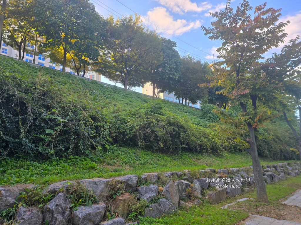 京畿道旅行,京畿道旅遊,京畿道自由行,京畿道遊／宿,季節限定,楓葉,河南遊／宿,粉紅芒草,粉黛亂子草,銀杏,韓國旅行,韓國旅遊,韓國自由行,首爾旅行,首爾旅遊,首爾自由行,首爾遊／宿,首爾順遊 @Helena's Blog