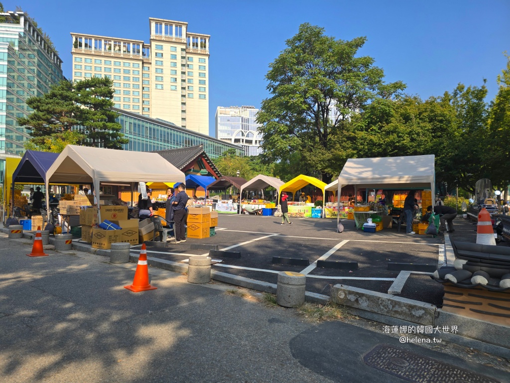 季節限定,波斯菊,秋季限定,粉黛亂子草,韓國旅行,韓國旅遊,韓國自由行,首爾旅行,首爾旅遊,首爾自由行,首爾遊／宿 @Helena's Blog