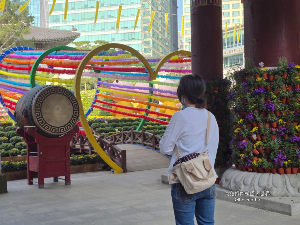 季節限定,波斯菊,秋季限定,粉黛亂子草,韓國旅行,韓國旅遊,韓國自由行,首爾旅行,首爾旅遊,首爾自由行,首爾遊／宿 @Helena's Blog