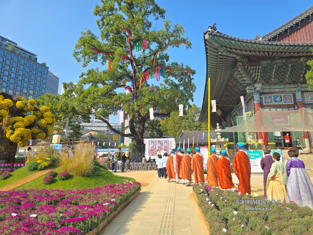 季節限定,波斯菊,秋季限定,粉黛亂子草,韓國旅行,韓國旅遊,韓國自由行,首爾旅行,首爾旅遊,首爾自由行,首爾遊／宿 @Helena's Blog