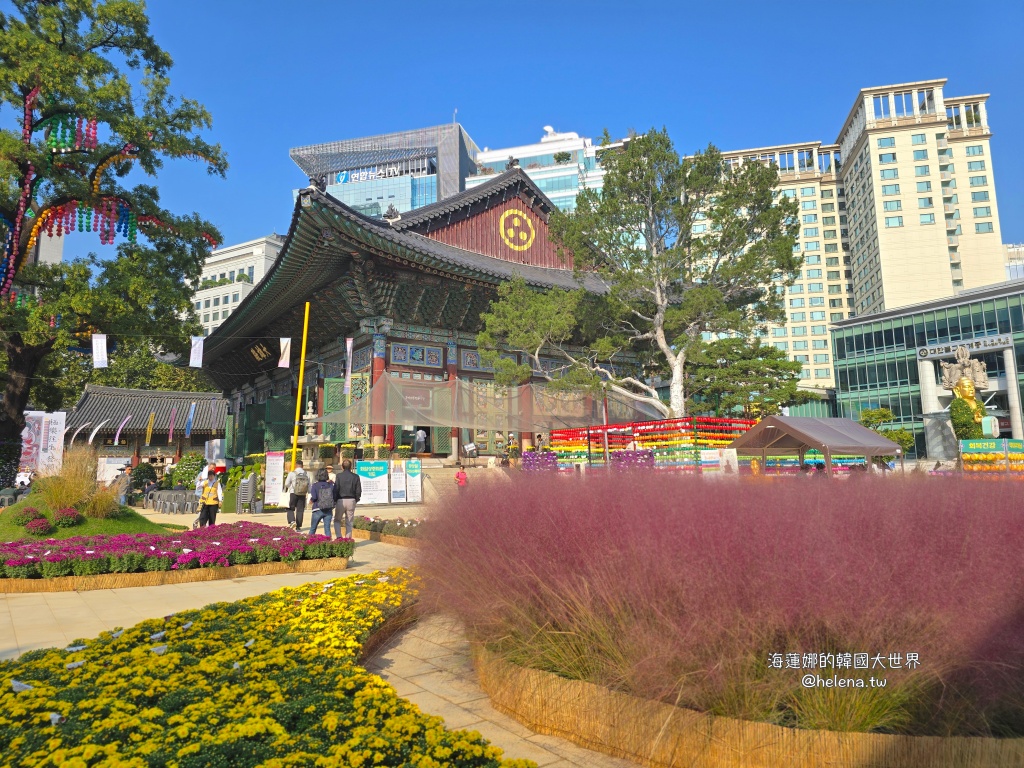 季節限定,波斯菊,秋季限定,粉黛亂子草,韓國旅行,韓國旅遊,韓國自由行,首爾旅行,首爾旅遊,首爾自由行,首爾遊／宿 @Helena's Blog