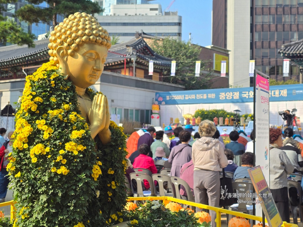 季節限定,波斯菊,秋季限定,粉黛亂子草,韓國旅行,韓國旅遊,韓國自由行,首爾旅行,首爾旅遊,首爾自由行,首爾遊／宿 @Helena's Blog