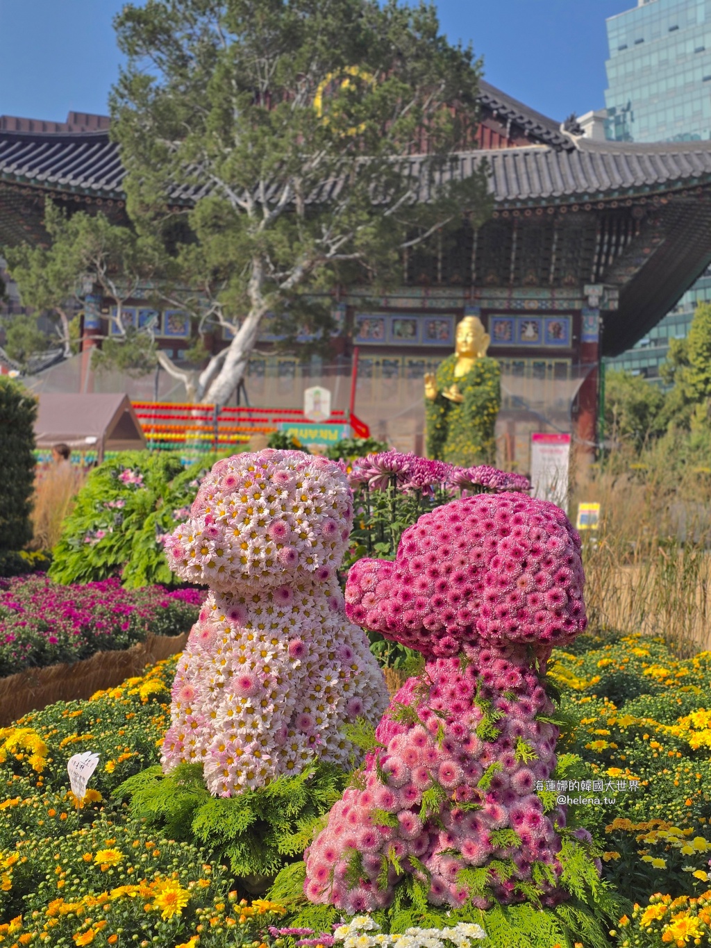 季節限定,波斯菊,秋季限定,粉黛亂子草,韓國旅行,韓國旅遊,韓國自由行,首爾旅行,首爾旅遊,首爾自由行,首爾遊／宿 @Helena's Blog