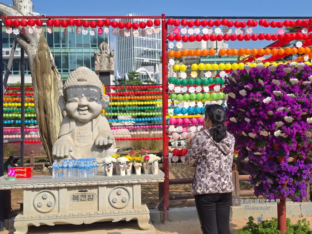 季節限定,波斯菊,秋季限定,粉黛亂子草,韓國旅行,韓國旅遊,韓國自由行,首爾旅行,首爾旅遊,首爾自由行,首爾遊／宿 @Helena's Blog