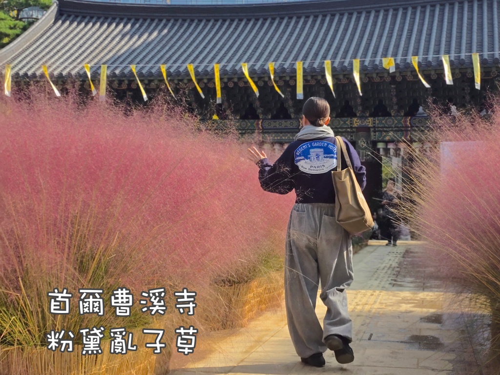 公寓式飯店,大邱住宿,大邱住宿推薦,大邱旅行,大邱旅遊,大邱自由行,大邱遊／宿,釜山住宿,釜山住宿推薦,釜山旅行,釜山旅遊,釜山自由行,釜山遊／宿,韓國住宿,韓國住宿推薦,韓國旅行,韓國旅遊,韓國自由行,飯店式公寓,首爾住宿,首爾住宿推薦,首爾旅行,首爾旅遊,首爾自由行,首爾遊／宿 @Helena's Blog