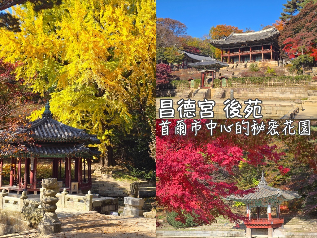 【韓國首爾景點】首爾市內賞楓葉銀杏的秘密花園～昌德宮秘苑線上預約(後苑、後院)，就算沒搶到預約門票，現場買票也可以！（首爾地鐵安國站、世界文化 ...