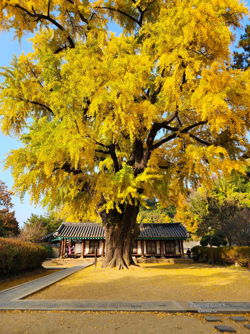 全州,全州旅行,全州旅遊,全州自由行,全州遊／宿,釜山,釜山旅行,釜山旅遊,釜山自由行,釜山順遊,韓國,韓國旅行,韓國旅遊,韓國自由行 @Helena's Blog