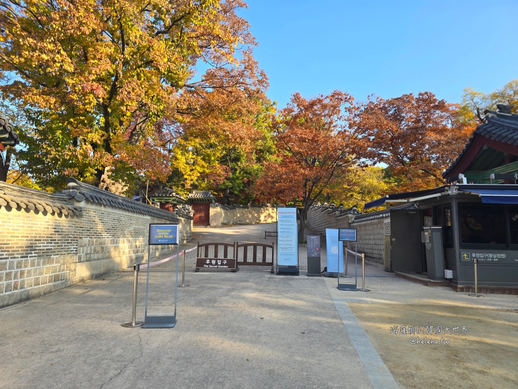 後院,昌德宮,楓葉,秘苑,銀杏,韓國旅行,韓國旅遊,韓國自由行,首爾旅行,首爾旅遊,首爾自由行,首爾遊／宿 @Helena's Blog