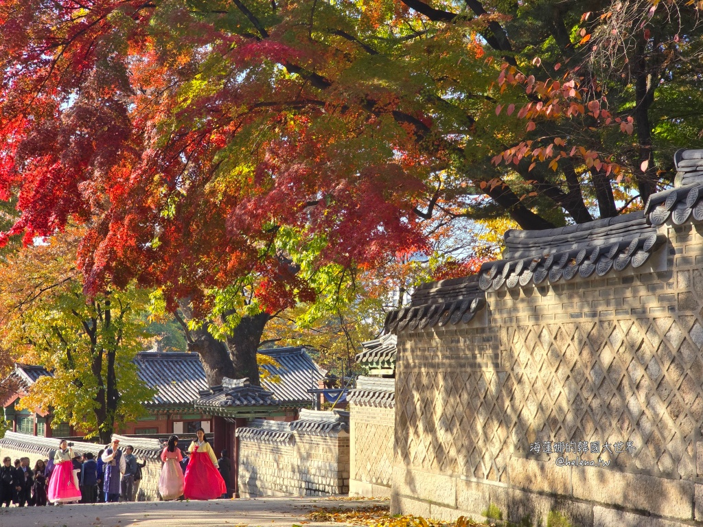 後院,昌德宮,楓葉,秘苑,銀杏,韓國旅行,韓國旅遊,韓國自由行,首爾旅行,首爾旅遊,首爾自由行,首爾遊／宿 @Helena's Blog