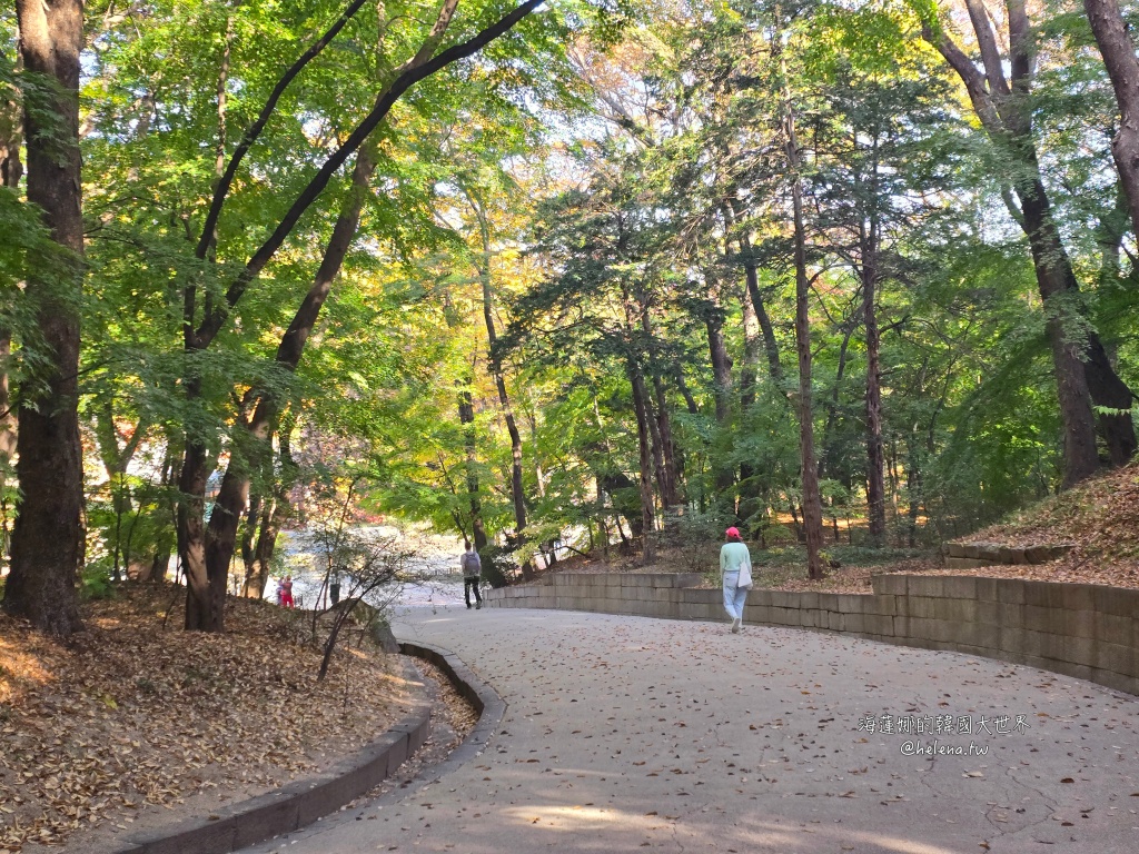 後院,昌德宮,楓葉,秘苑,銀杏,韓國旅行,韓國旅遊,韓國自由行,首爾旅行,首爾旅遊,首爾自由行,首爾遊／宿 @Helena's Blog