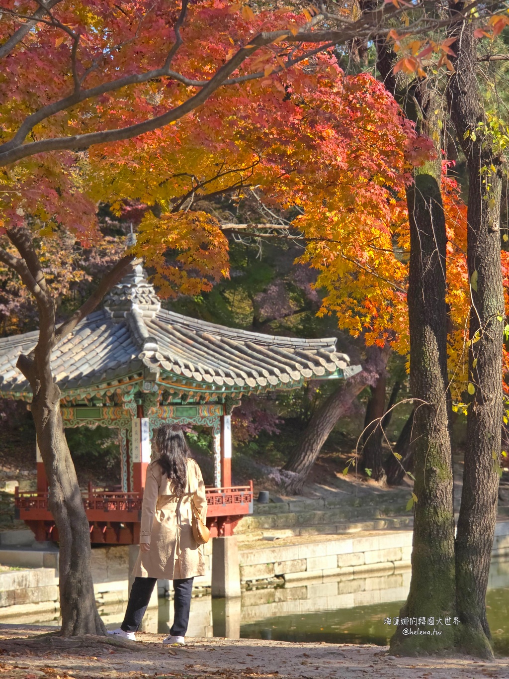 後院,昌德宮,楓葉,秘苑,銀杏,韓國旅行,韓國旅遊,韓國自由行,首爾旅行,首爾旅遊,首爾自由行,首爾遊／宿 @Helena's Blog