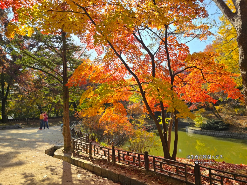 後院,昌德宮,楓葉,秘苑,銀杏,韓國旅行,韓國旅遊,韓國自由行,首爾旅行,首爾旅遊,首爾自由行,首爾遊／宿 @Helena's Blog