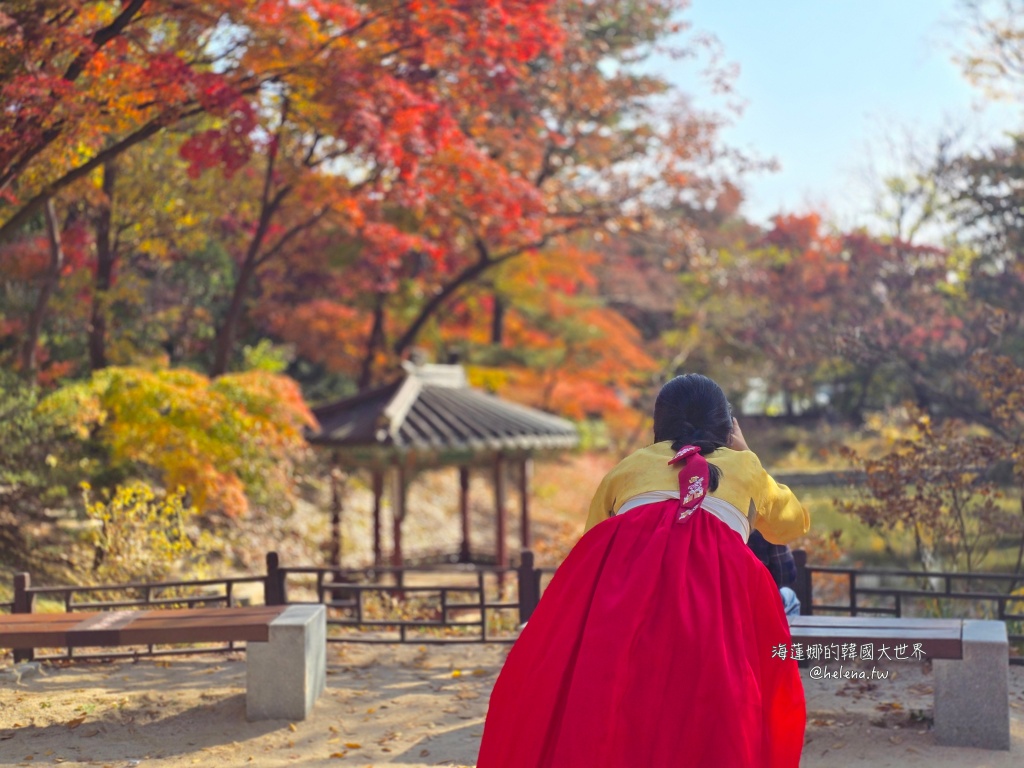 後院,昌德宮,楓葉,秘苑,銀杏,韓國旅行,韓國旅遊,韓國自由行,首爾旅行,首爾旅遊,首爾自由行,首爾遊／宿 @Helena's Blog