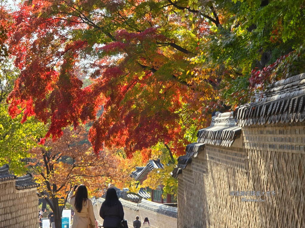 後院,昌德宮,楓葉,秘苑,銀杏,韓國旅行,韓國旅遊,韓國自由行,首爾旅行,首爾旅遊,首爾自由行,首爾遊／宿 @Helena's Blog