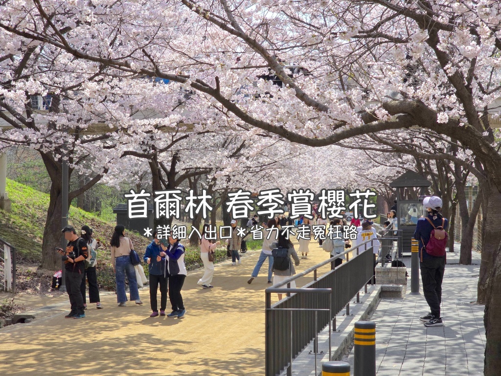 【韓國首爾櫻花】首爾林櫻花路,實景路線、清楚地圖帶你GO!聖水洞「首爾林」櫻花散步路,詳細照片路線,不走回頭路的省力行程規劃!(附:順遊行程 ...