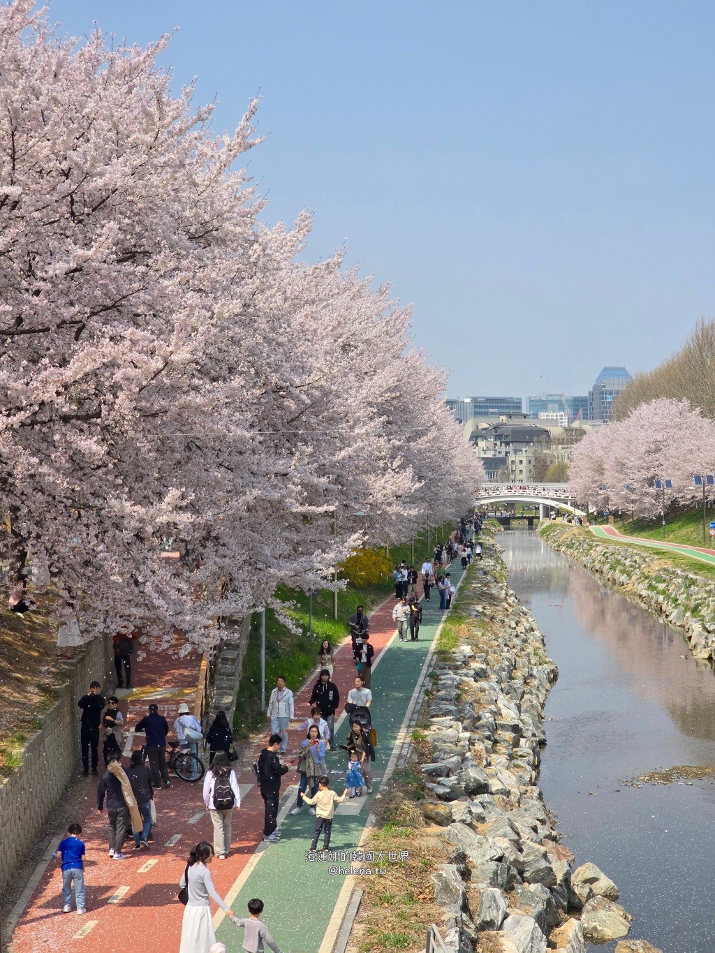 如意川,櫻花,良材市民之森,良材市民公園,韓國,韓國旅行,韓國旅遊,韓國櫻花,韓國綜合,韓國自由行,韓國賞櫻,韓國賞櫻花,首爾,首爾旅行,首爾旅遊,首爾櫻花,首爾自由行,首爾賞櫻,首爾賞櫻攻略,首爾賞櫻時間,首爾賞櫻月份,首爾賞櫻秘境,首爾賞櫻花,首爾遊／宿 @Helena's Blog