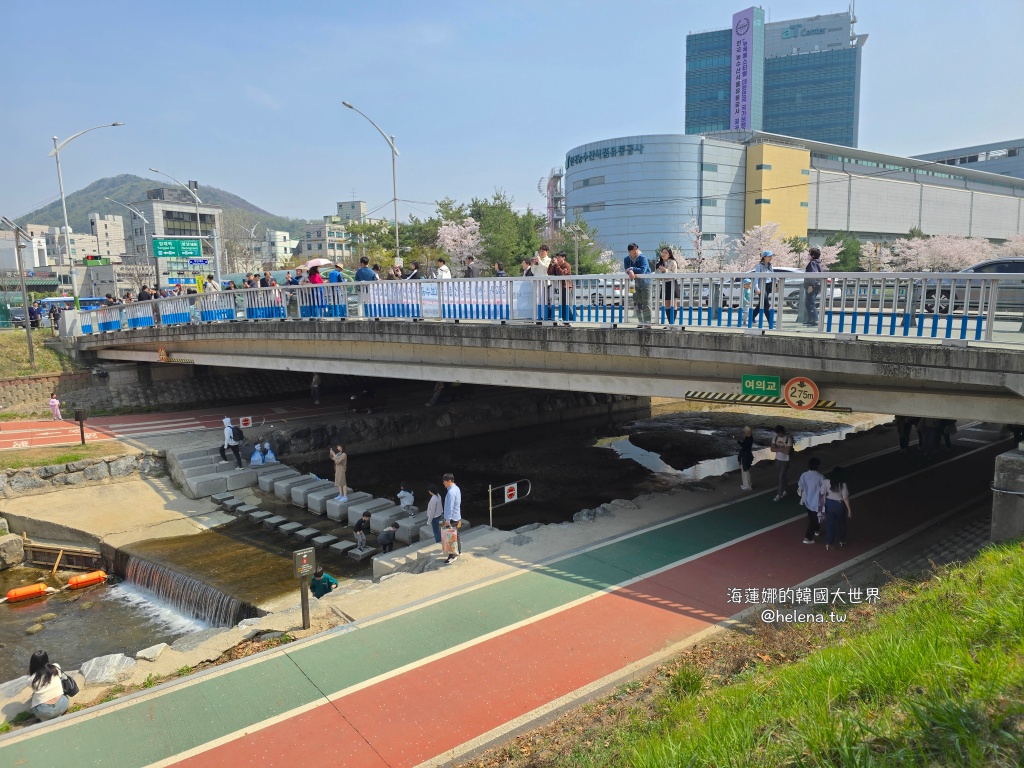 如意川,櫻花,良材市民之森,良材市民公園,韓國,韓國旅行,韓國旅遊,韓國櫻花,韓國綜合,韓國自由行,韓國賞櫻,韓國賞櫻花,首爾,首爾旅行,首爾旅遊,首爾櫻花,首爾自由行,首爾賞櫻,首爾賞櫻攻略,首爾賞櫻時間,首爾賞櫻月份,首爾賞櫻秘境,首爾賞櫻花,首爾遊／宿 @Helena's Blog