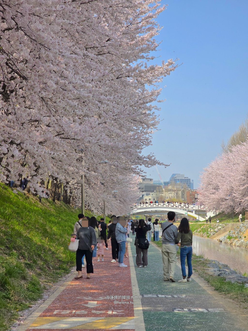 如意川,櫻花,良材市民之森,良材市民公園,韓國,韓國旅行,韓國旅遊,韓國櫻花,韓國綜合,韓國自由行,韓國賞櫻,韓國賞櫻花,首爾,首爾旅行,首爾旅遊,首爾櫻花,首爾自由行,首爾賞櫻,首爾賞櫻攻略,首爾賞櫻時間,首爾賞櫻月份,首爾賞櫻秘境,首爾賞櫻花,首爾遊／宿 @Helena's Blog