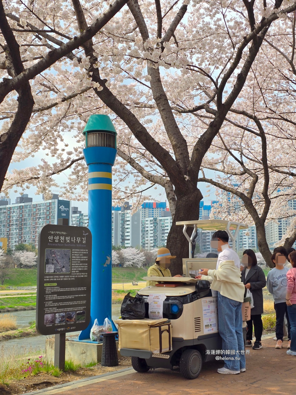 安養川,櫻花,韓國,韓國旅行,韓國旅遊,韓國櫻花,韓國綜合,韓國自由行,韓國賞櫻,韓國賞櫻花,首爾,首爾旅行,首爾旅遊,首爾櫻花,首爾自由行,首爾賞櫻,首爾賞櫻攻略,首爾賞櫻時間,首爾賞櫻月份,首爾賞櫻秘境,首爾賞櫻花,首爾遊／宿 @Helena's Blog