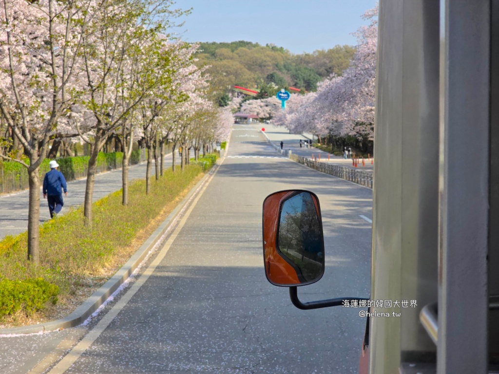 櫻花,韓國,韓國旅行,韓國旅遊,韓國櫻花,韓國綜合,韓國自由行,韓國賞櫻,韓國賞櫻花,首爾,首爾大公園,首爾旅行,首爾旅遊,首爾櫻花,首爾自由行,首爾賞櫻,首爾賞櫻攻略,首爾賞櫻時間,首爾賞櫻月份,首爾賞櫻秘境,首爾賞櫻花,首爾遊／宿 @Helena's Blog