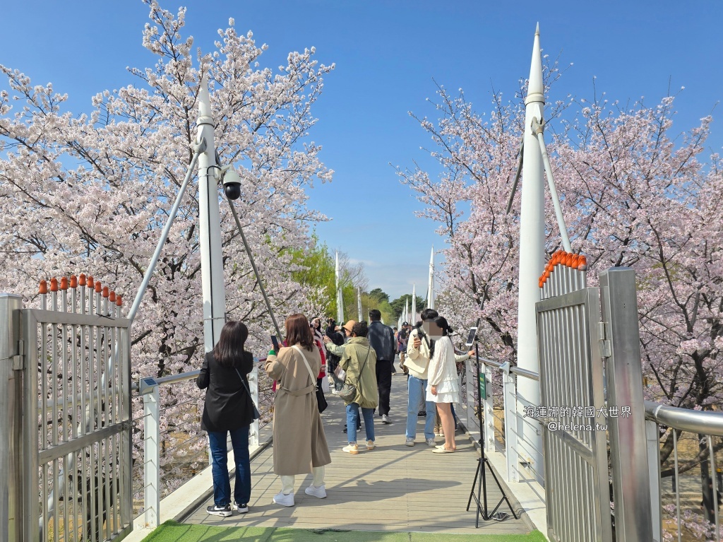 櫻花,韓國,韓國旅行,韓國旅遊,韓國櫻花,韓國綜合,韓國自由行,韓國賞櫻,韓國賞櫻花,首爾,首爾旅行,首爾旅遊,首爾櫻花,首爾自由行,首爾賞櫻,首爾賞櫻攻略,首爾賞櫻時間,首爾賞櫻月份,首爾賞櫻秘境,首爾賞櫻花,首爾遊／宿 @Helena's Blog