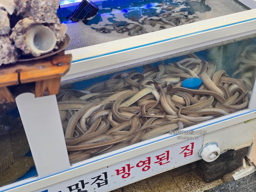 海雲台,釜山,釜山旅行,釜山旅遊,釜山海鮮,釜山美食,釜山自由行,釜山遊／宿,韓國,韓國旅行,韓國旅遊,韓國美食,韓國自由行 @Helena's Blog