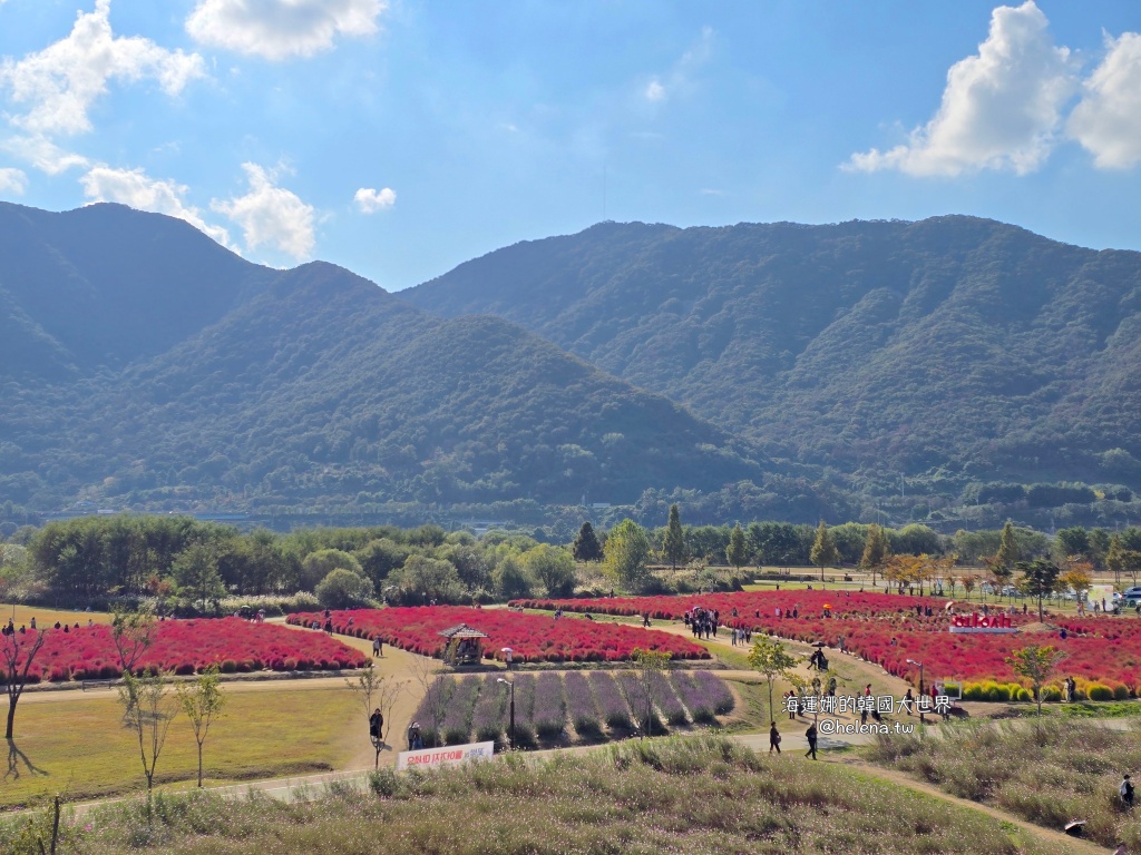慶尚南道,梁山,釜山,釜山旅行,釜山旅遊,釜山自由行,釜山遊/宿,釜山順遊,韓國,韓國旅行,韓國旅遊,韓國自由行 @Helena's Blog 慶尚南道,梁山,釜山,釜山旅行,釜山旅遊,釜山自由行,釜山遊/宿,釜山順遊,韓國,韓國旅行,韓國旅遊,韓國自由行 @Helena's Blog