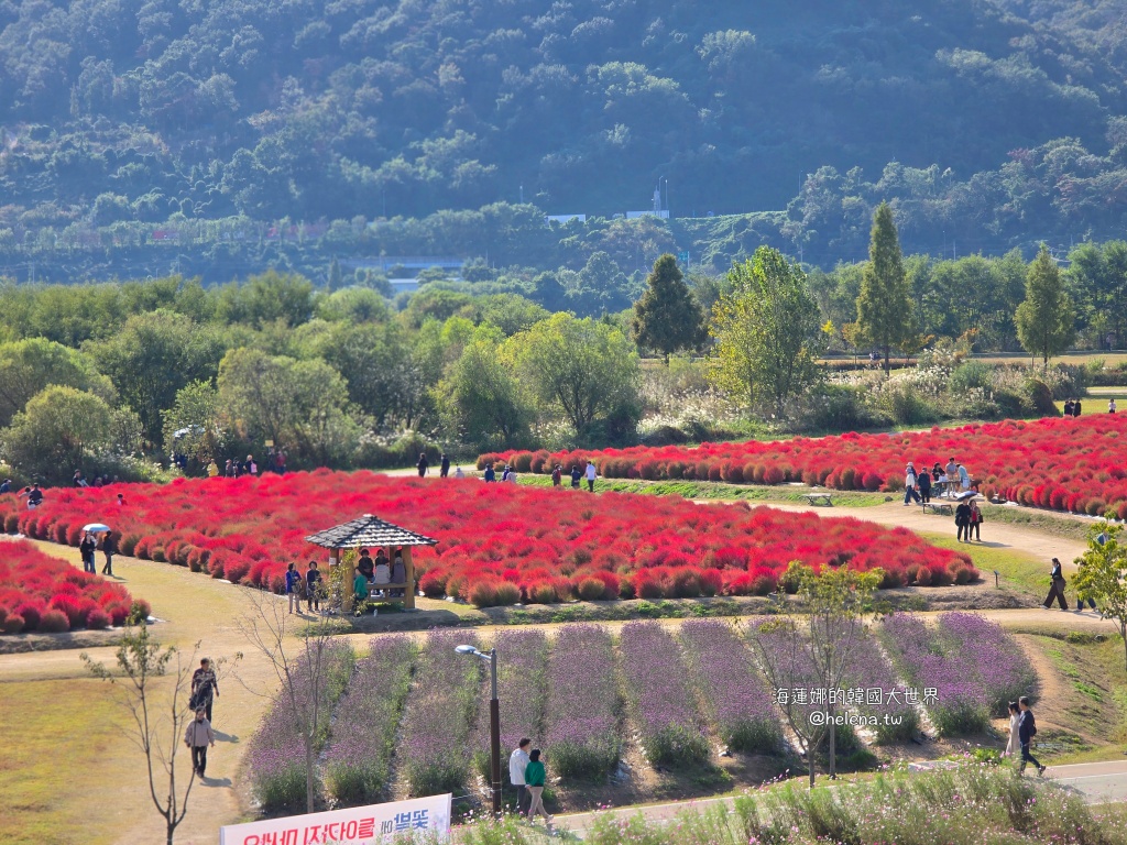 慶尚南道,梁山,釜山,釜山旅行,釜山旅遊,釜山自由行,釜山遊/宿,釜山順遊,韓國,韓國旅行,韓國旅遊,韓國自由行 @Helena's Blog 慶尚南道,梁山,釜山,釜山旅行,釜山旅遊,釜山自由行,釜山遊/宿,釜山順遊,韓國,韓國旅行,韓國旅遊,韓國自由行 @Helena's Blog