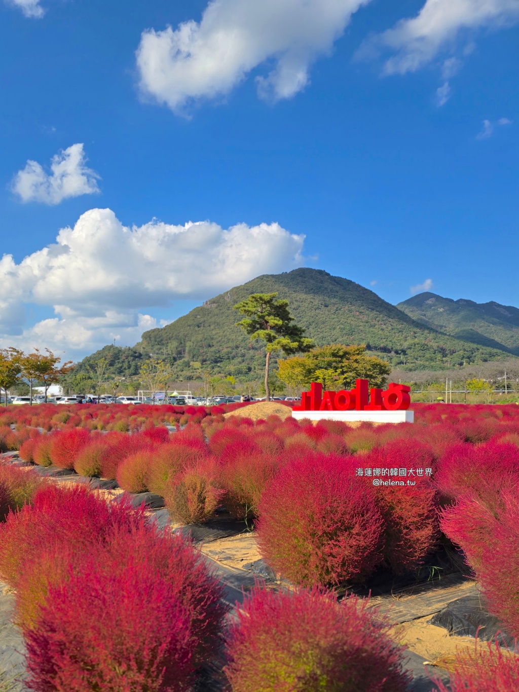 慶尚南道,梁山,釜山,釜山旅行,釜山旅遊,釜山自由行,釜山遊/宿,釜山順遊,韓國,韓國旅行,韓國旅遊,韓國自由行 @Helena's Blog 慶尚南道,梁山,釜山,釜山旅行,釜山旅遊,釜山自由行,釜山遊/宿,釜山順遊,韓國,韓國旅行,韓國旅遊,韓國自由行 @Helena's Blog
