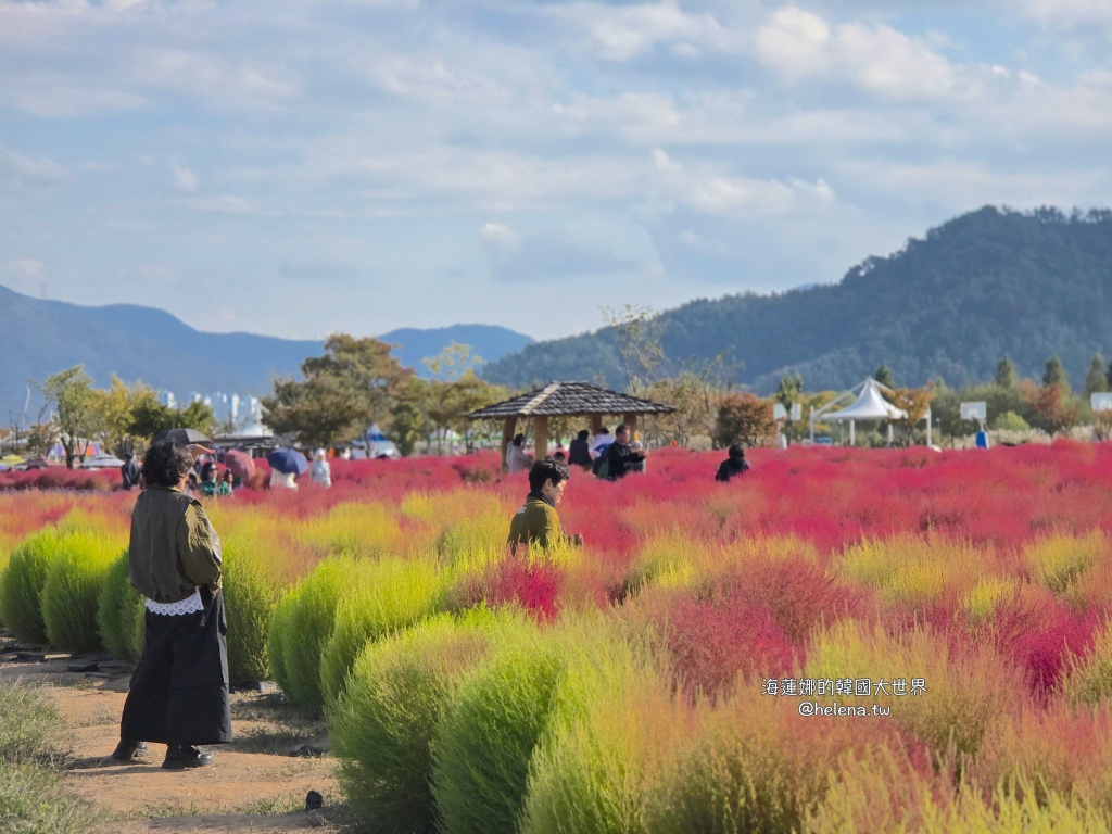 慶尚南道,梁山,釜山,釜山旅行,釜山旅遊,釜山自由行,釜山遊/宿,釜山順遊,韓國,韓國旅行,韓國旅遊,韓國自由行 @Helena's Blog 慶尚南道,梁山,釜山,釜山旅行,釜山旅遊,釜山自由行,釜山遊/宿,釜山順遊,韓國,韓國旅行,韓國旅遊,韓國自由行 @Helena's Blog