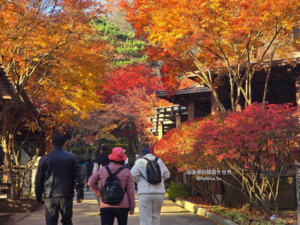 仁川機場,公司旅遊代辦,家族旅遊代辦,金浦機場,韓國一日遊,韓國旅行,韓國旅遊,韓國自由行,首爾一日遊,首爾包車,首爾旅行,首爾旅遊,首爾自由行,首爾遊／宿 @Helena's Blog
