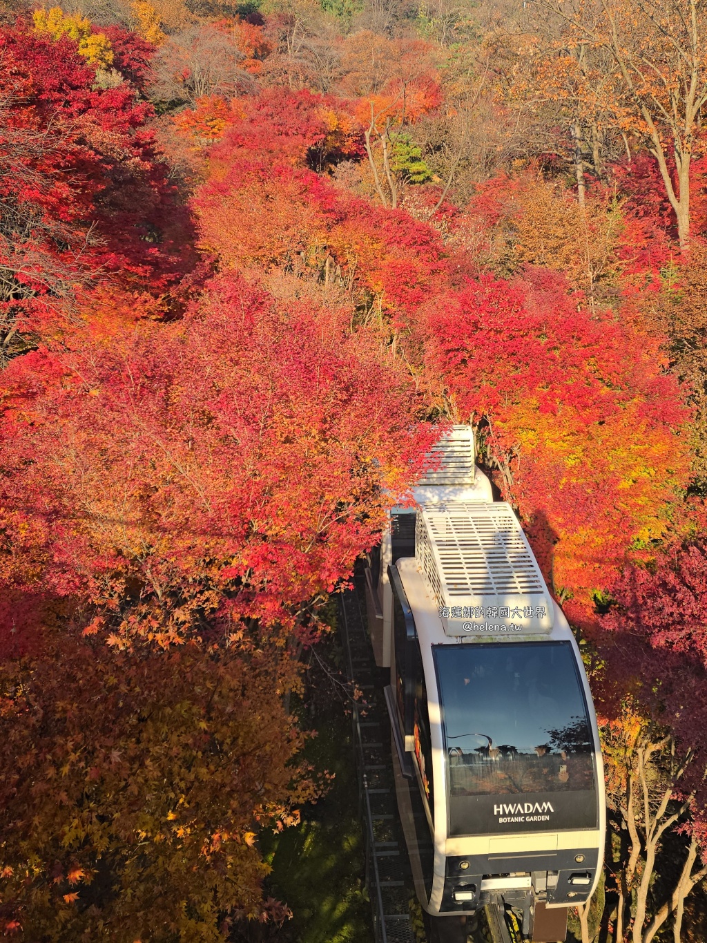 仁川機場,公司旅遊代辦,家族旅遊代辦,金浦機場,韓國一日遊,韓國旅行,韓國旅遊,韓國自由行,首爾一日遊,首爾包車,首爾旅行,首爾旅遊,首爾自由行,首爾遊／宿 @Helena's Blog